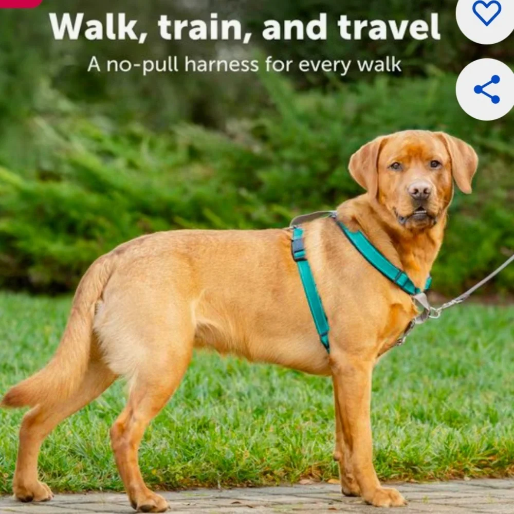 New Petsafe 3 in 1 harness Car Walk Jog L